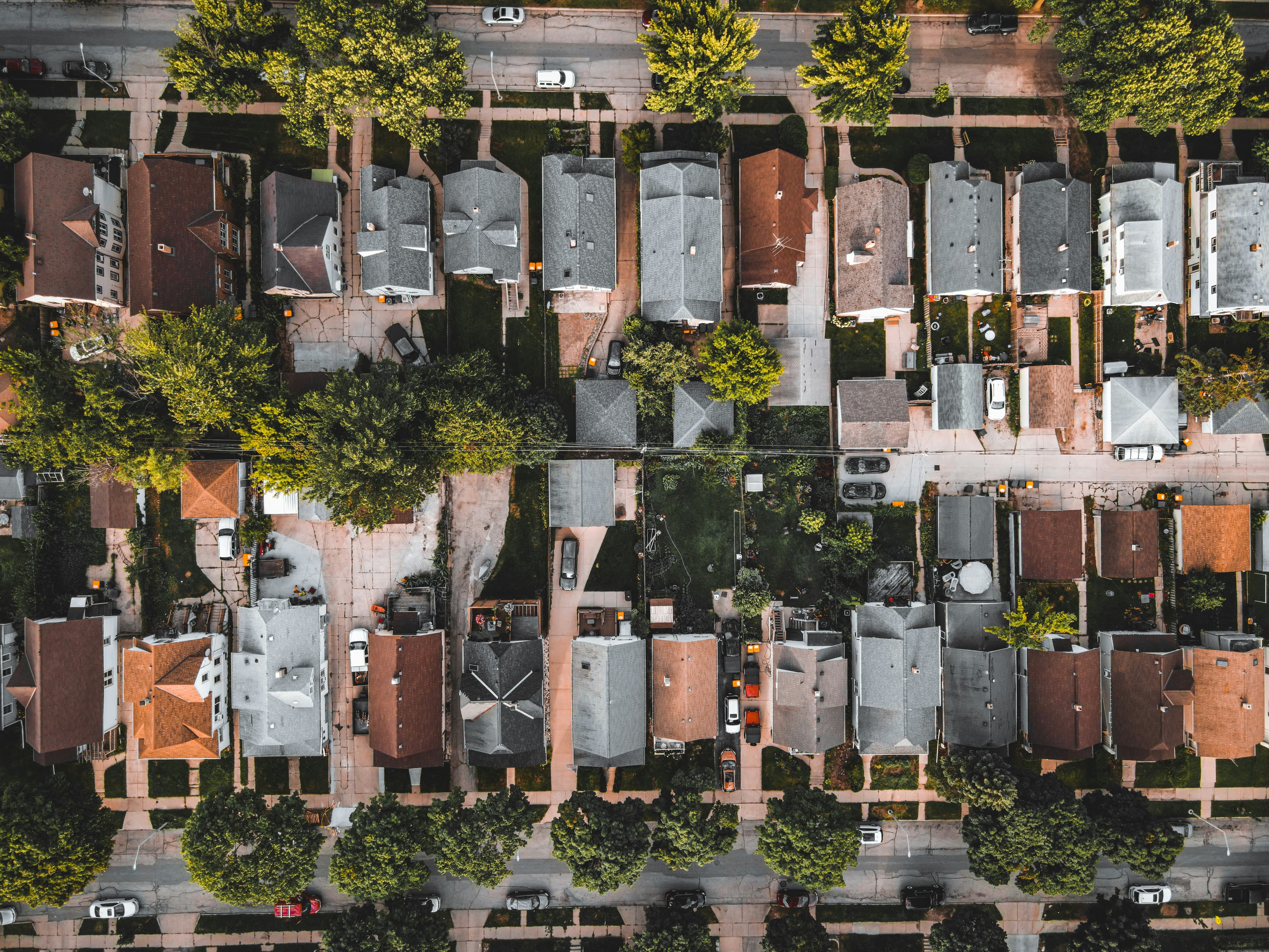 Neo Neighborhood Networks Backdrop